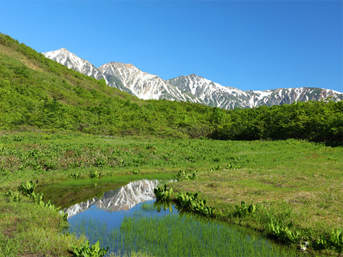 200701sh.jpg